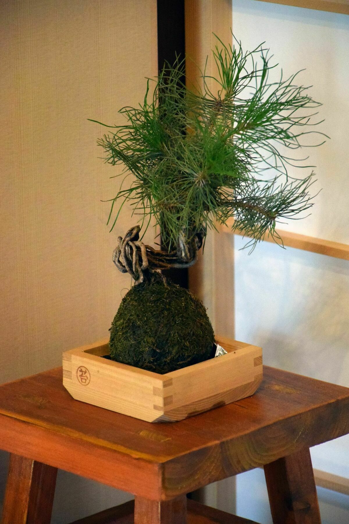 Guesthouse Hanamiya Kyoto Bagian luar foto